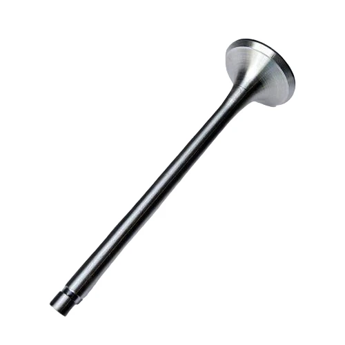 OEM AE EXHAUST VALVE
